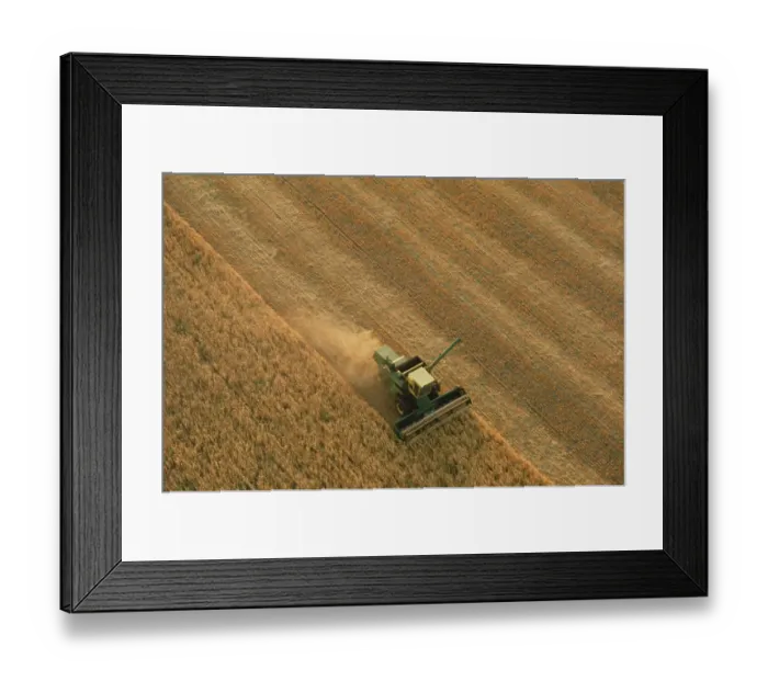 Framed Print : Thrasher Moves Through Wheat Field Framed Print : Thrasher Moves Through Wheat Field