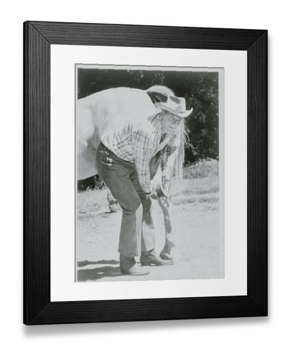 Framed Print : Ronald Reagan Grooming Horse Framed Print : Ronald Reagan Grooming Horse