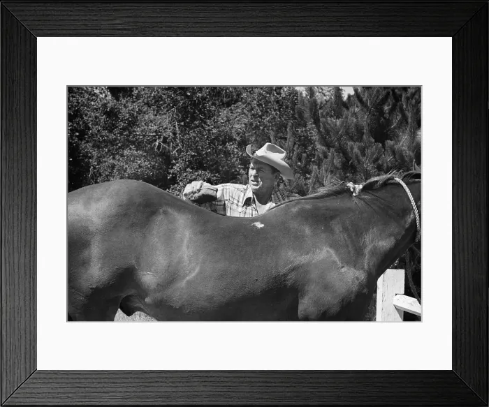 Framed Print : Ronald Reagan Grooming Horse Framed Print : Ronald Reagan Grooming Horse