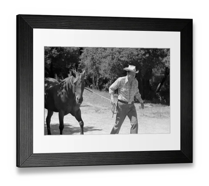 Framed Print : Ronald Reagan Leading His Horse at His Ranch Framed Print : Ronald Reagan Leading His Horse at His Ranch