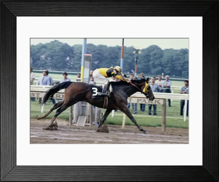 Framed Print : Belmont Stakes Framed Print : Belmont Stakes