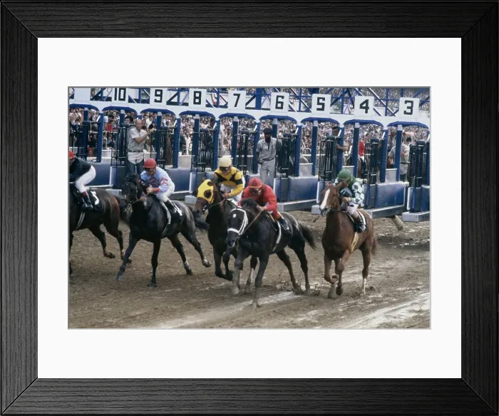 Framed Print : Belmont Stakes Framed Print : Belmont Stakes