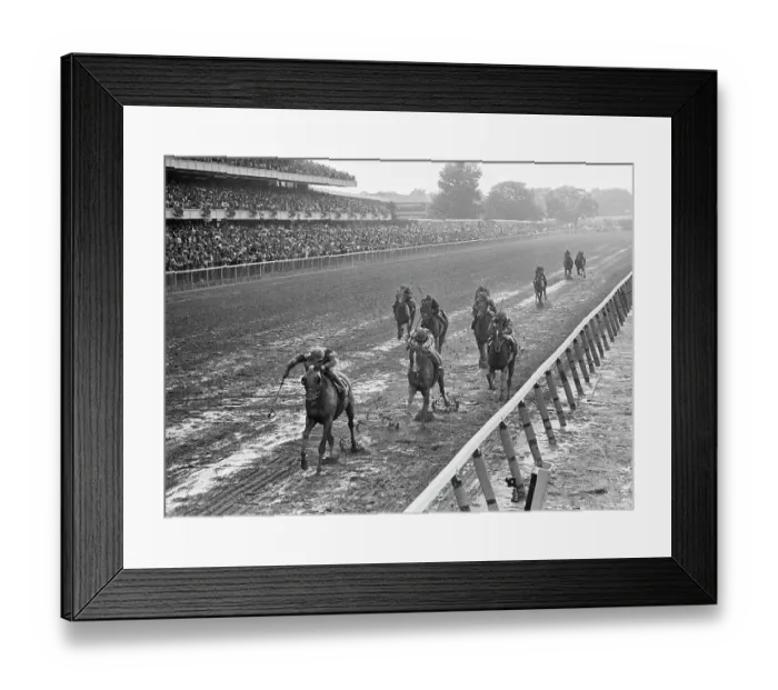 Framed Print : Horses Finishing at Belmont Stakes Framed Print : Horses Finishing at Belmont Stakes