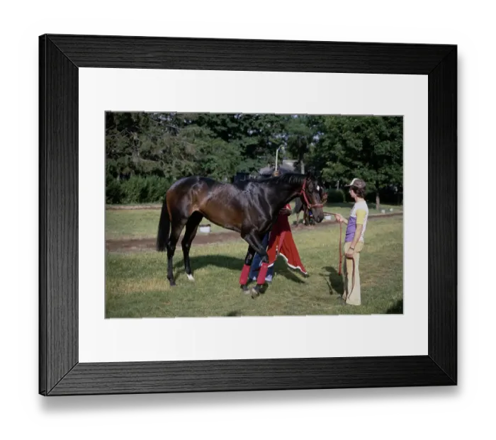Framed Print : Belmont Stakes Framed Print : Belmont Stakes