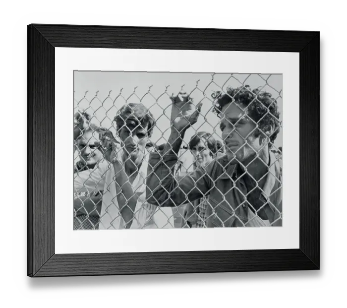 Framed Print : Cuban Refugees Peering Through Fence Framed Print : Cuban Refugees Peering Through Fence