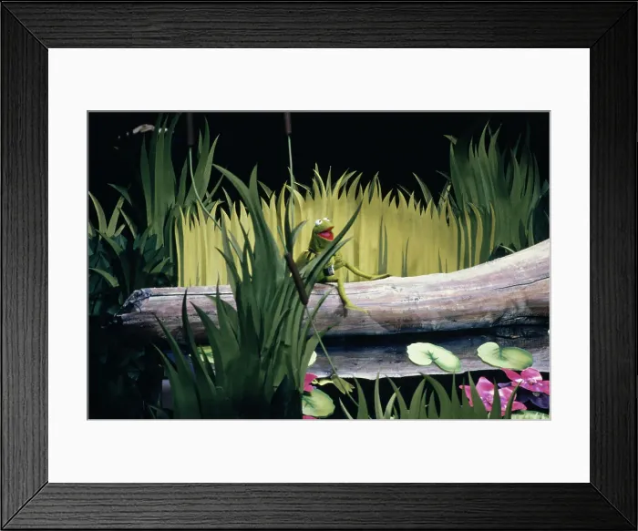 Framed Print : Kermit Performing At Oscars Ceremony Framed Print : Kermit Performing At Oscars Ceremony