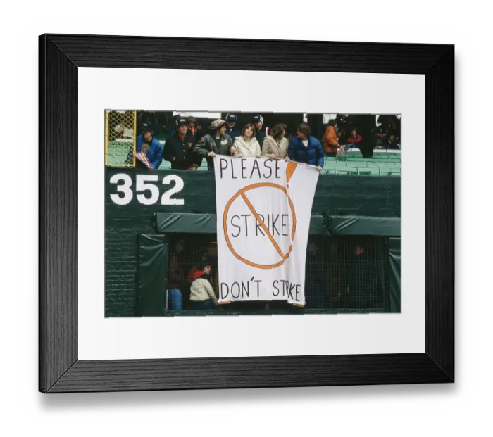 Framed Print : Baseball Fans With Banner Framed Print : Baseball Fans With Banner