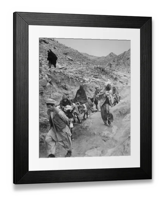 Framed Print : Family of Afghan Refugees Fleeing on Donkeys Framed Print : Family of Afghan Refugees Fleeing on Donkeys