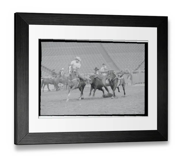 Framed Print : Jack Woods Wrestling Steer Framed Print : Jack Woods Wrestling Steer