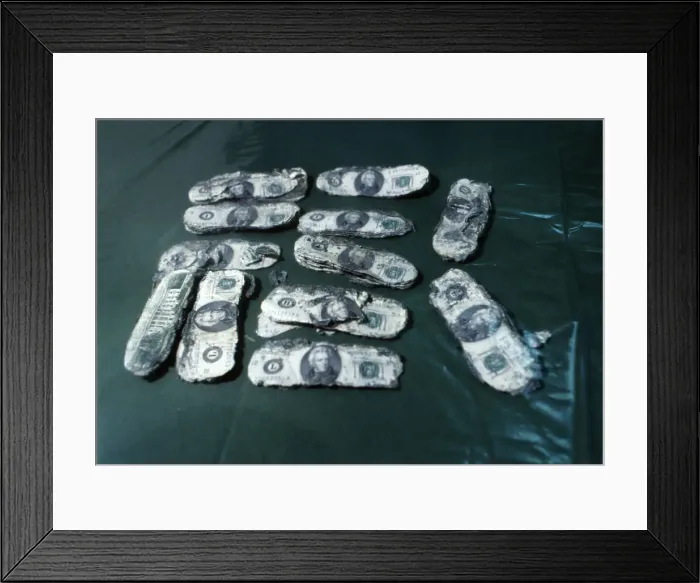 Framed Print : Hijacker D. B. Cooper's Monies Found Framed Print : Hijacker D. B. Cooper's Monies Found