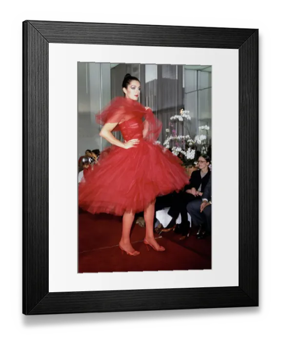 Framed Print : Model Wearing Red Tulle Dress Framed Print : Model Wearing Red Tulle Dress