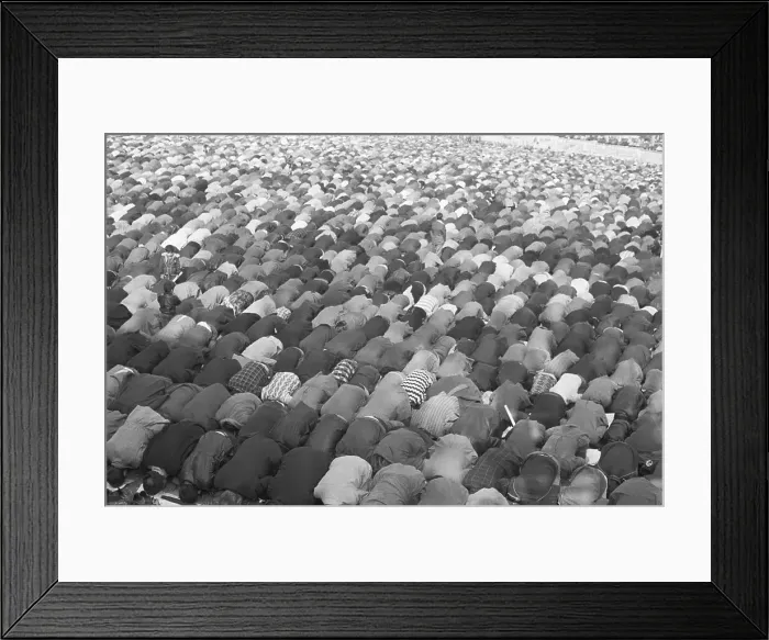 Framed Print : Crowd of Muslims Praying Framed Print : Crowd of Muslims Praying