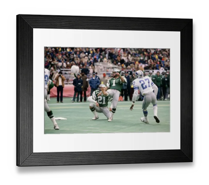 Framed Print : Philadelphia Eagles Framed Print : Philadelphia Eagles