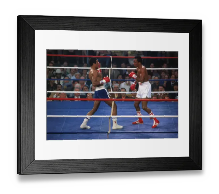 Framed Print : Sugar Ray Leonard and Wilfred Benitez in the Boxing Ring Framed Print : Sugar Ray Leonard and Wilfred Benitez in the Boxing Ring