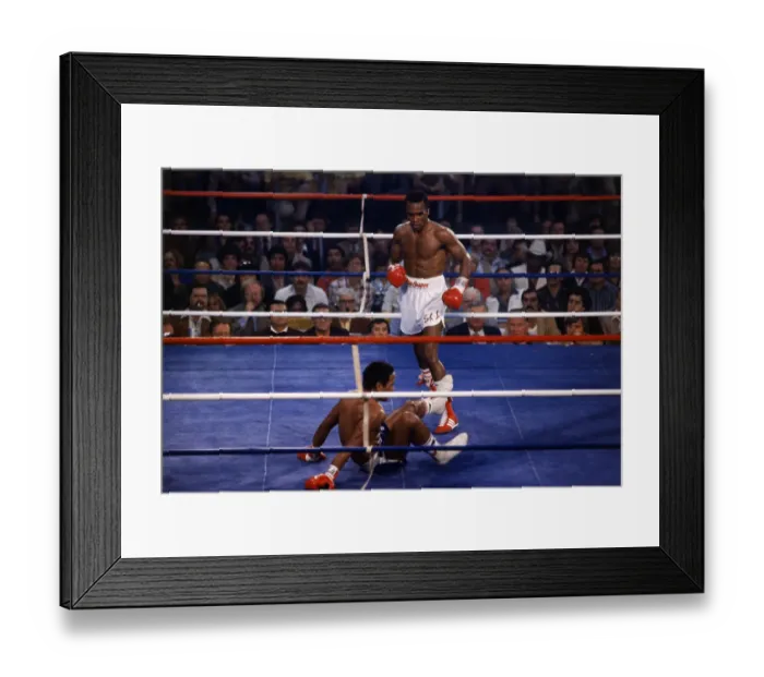Framed Print : Sugar Ray Leonard and Wilfred Benitez in the Boxing Ring Framed Print : Sugar Ray Leonard and Wilfred Benitez in the Boxing Ring