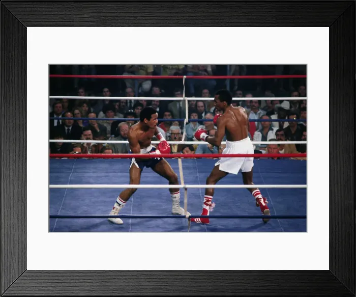 Framed Print : Sugar Ray Leonard and Wilfred Benitez in the Boxing Ring Framed Print : Sugar Ray Leonard and Wilfred Benitez in the Boxing Ring