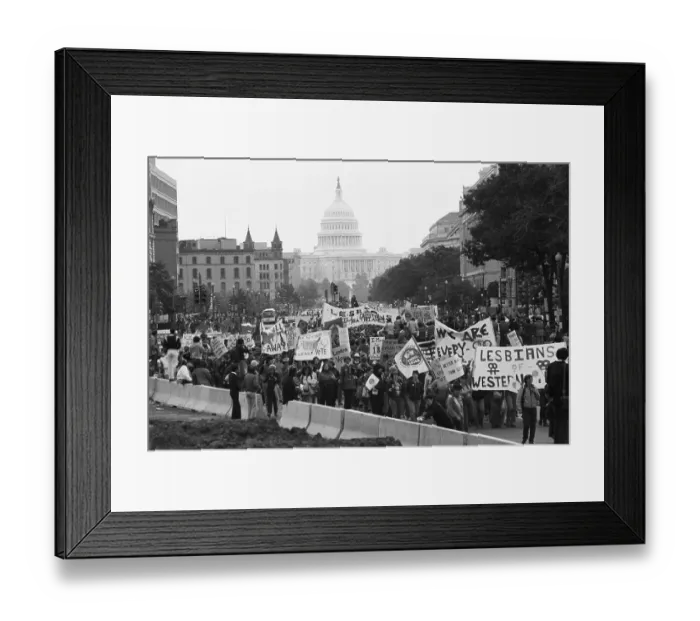 Framed Print : Crowd W / Signs At White House;Lesbian / Gay