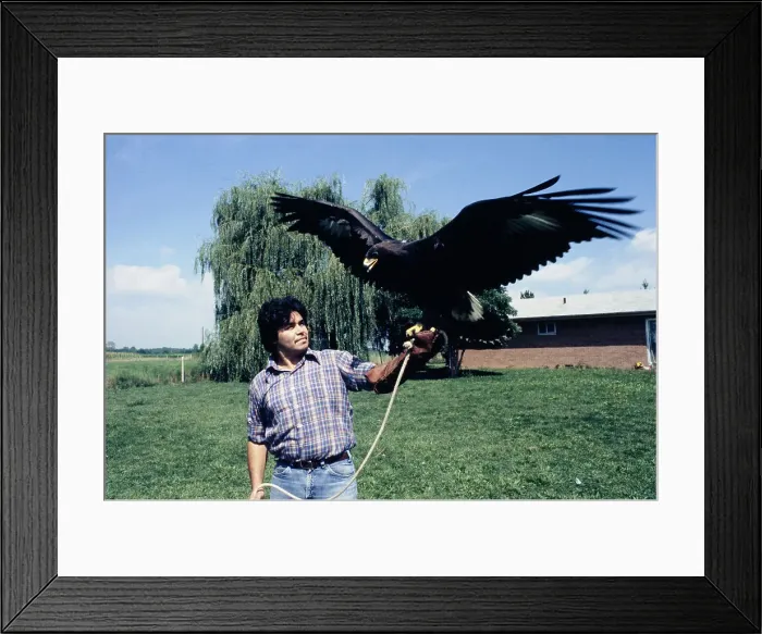 Framed Print : Conservationist With Golden Eagle Framed Print : Conservationist With Golden Eagle