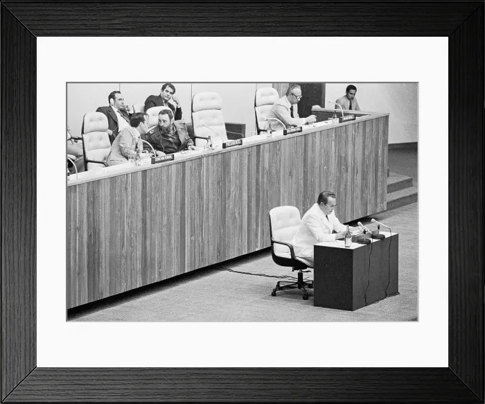 Framed Print : Non-Aligned Countries Summit