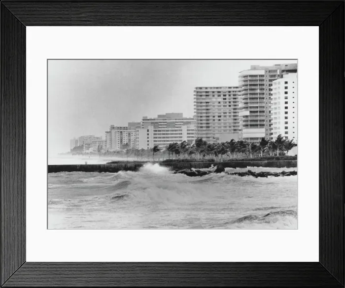 Framed Print : Hurricane David Blows into Miami Beach Framed Print : Hurricane David Blows into Miami Beach