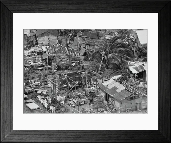 Framed Print : Hurricane David Survivors