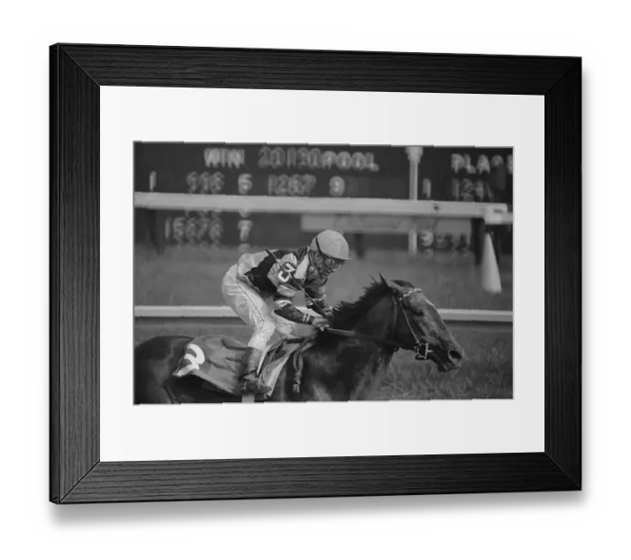 Framed Print : Willie Shoemaker Racing on Spectacular Bid