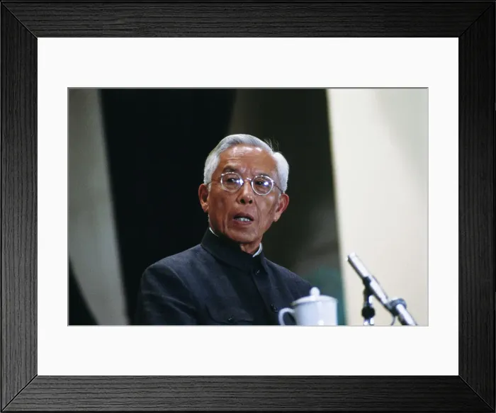 Framed Print : Zhou Peiyuan Framed Print : Zhou Peiyuan