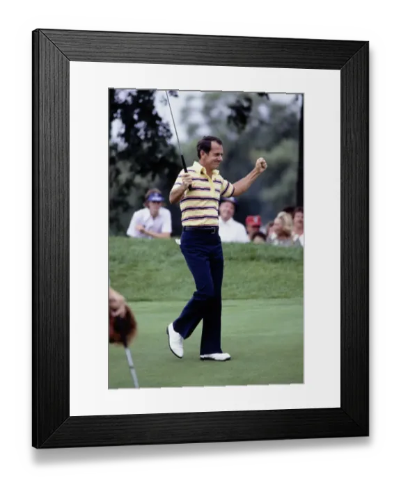 Framed Print : David Graham Framed Print : David Graham