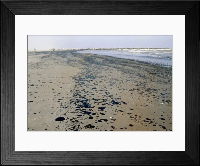 Framed Print : Oil Droplets On Mexican Beach Framed Print : Oil Droplets On Mexican Beach
