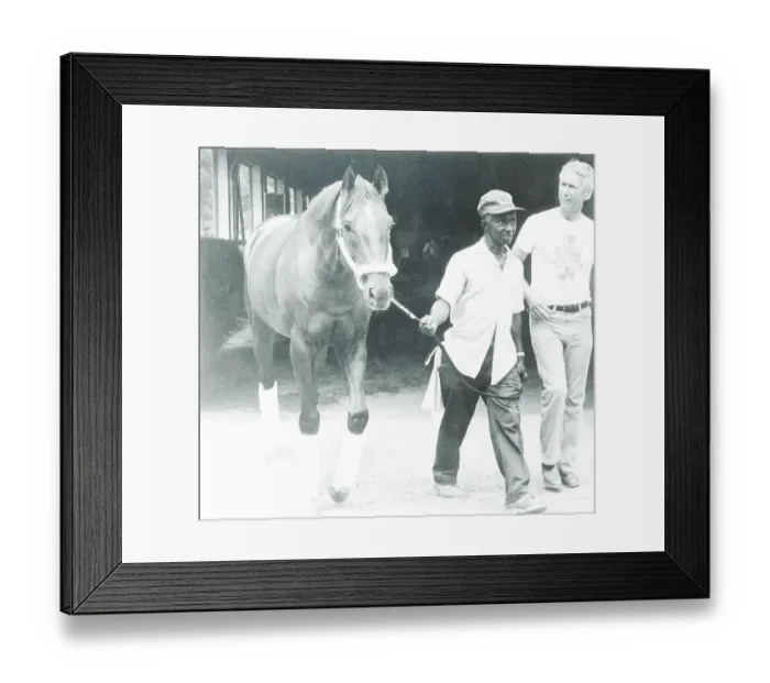 Framed Print : Alydar Leaving Belmont Park Framed Print : Alydar Leaving Belmont Park