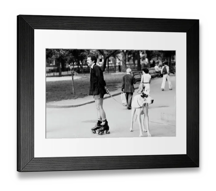 Framed Print : Central Park today and yesterday Framed Print : Central Park today and yesterday
