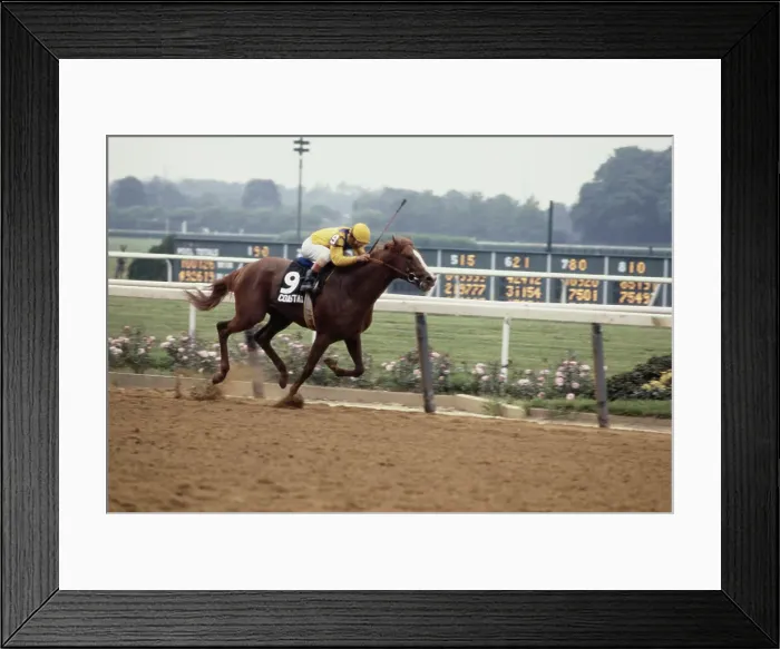 Framed Print : Coastal Winning Belmont Stakes Framed Print : Coastal Winning Belmont Stakes