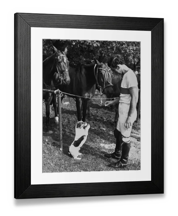 Framed Print : Prince Charles With Pet Dog Framed Print : Prince Charles With Pet Dog