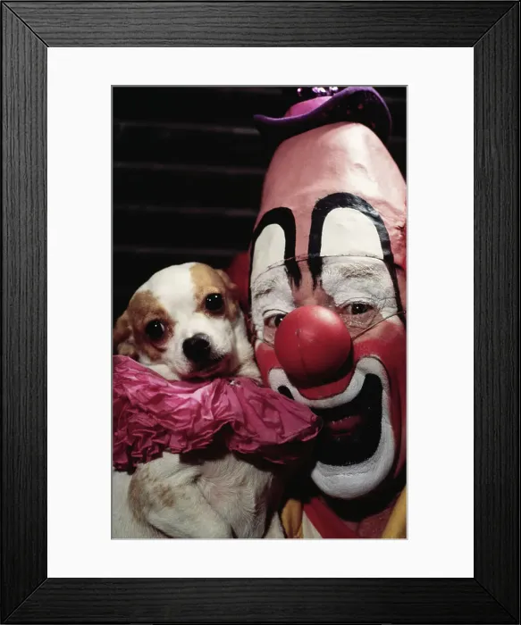 Framed Print : Circus Clown Lou Jacobs and Knucklehead the Chihuahua