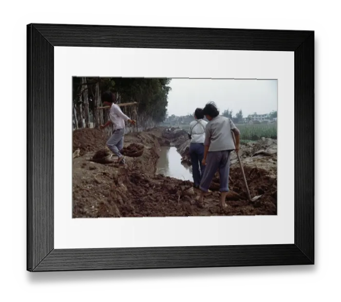 Framed Print : Chinese Workers Digging A Ditch Framed Print : Chinese Workers Digging A Ditch