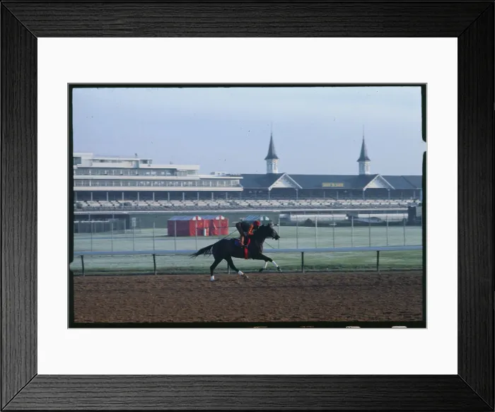 Framed Print : Spectacular Bid Being Ridden on Race Track Framed Print : Spectacular Bid Being Ridden on Race Track
