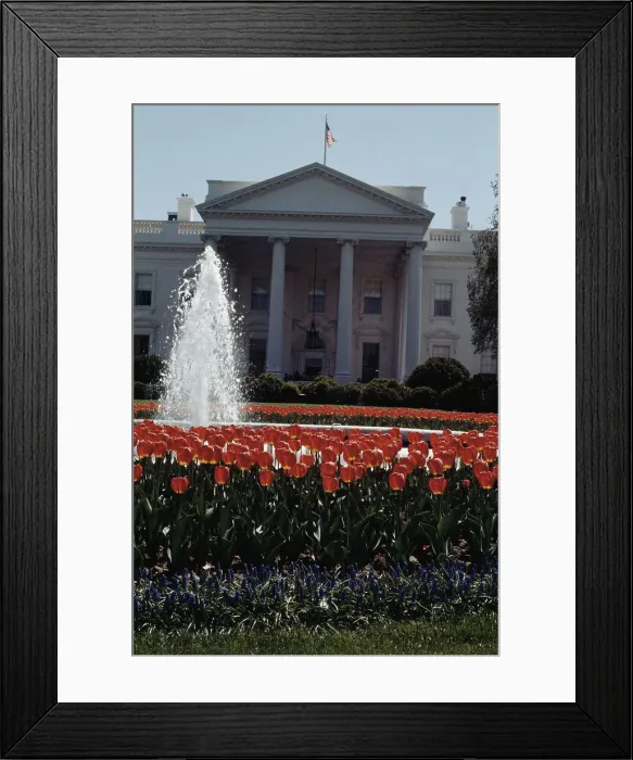 Framed Print : White House North Portico Framed Print : White House North Portico