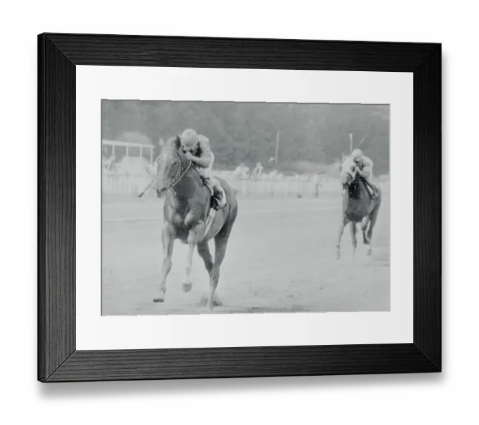 Framed Print : Alydar Running in the Lead Framed Print : Alydar Running in the Lead