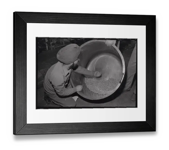 Framed Print : Worker Handling Gold Grains