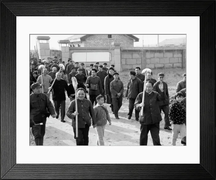 Framed Print : Government Leaders on National Tree-Planting Day Framed Print : Government Leaders on National Tree-Planting Day