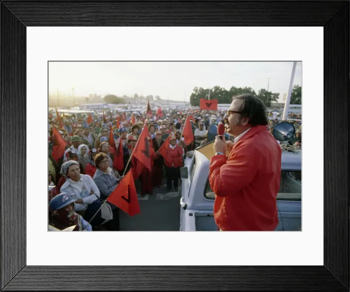 Framed Print : Marshall Ganz Framed Print : Marshall Ganz