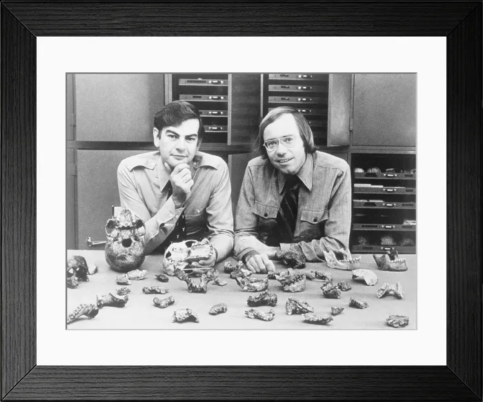Framed Print : Anthropologists with Skeleton Fragments on a Table Framed Print : Anthropologists with Skeleton Fragments on a Table