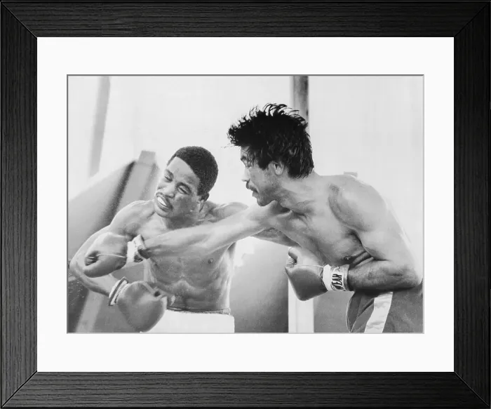 Framed Print : Benitez-Palomino Fight Framed Print : Benitez-Palomino Fight