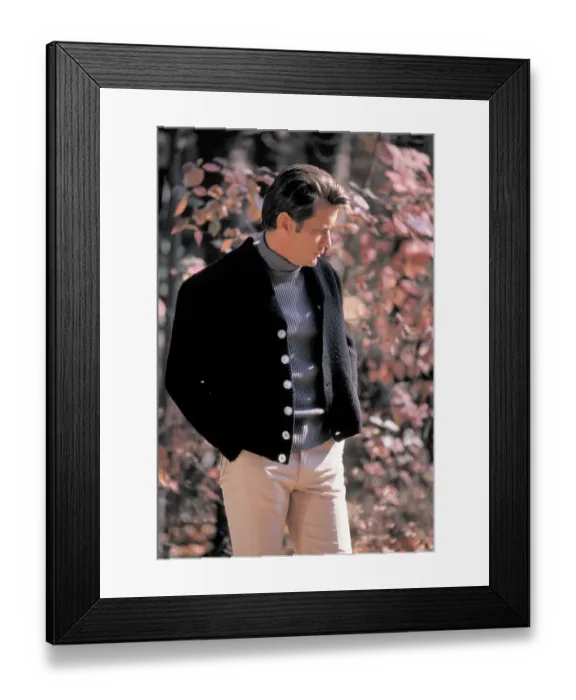Framed Print : Actor Martin Sheen Framed Print : Actor Martin Sheen