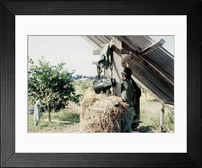Framed Print : Jonestown Suicide Aftermath Framed Print : Jonestown Suicide Aftermath