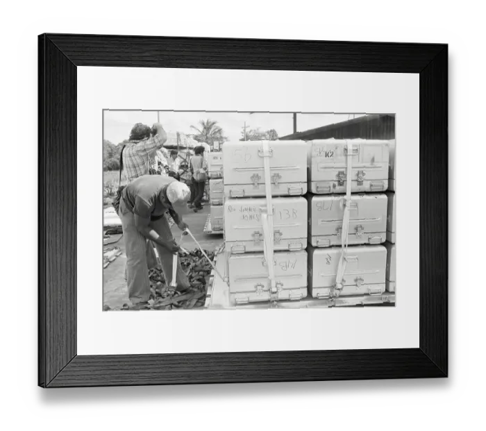 Framed Print : Jim Jones Coffin Awaits Shipment from Jonestown Framed Print : Jim Jones Coffin Awaits Shipment from Jonestown
