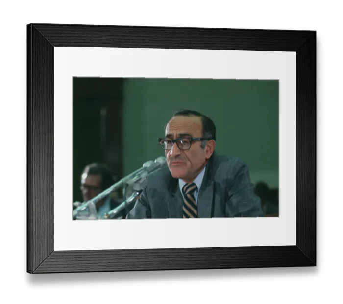 Framed Print : Alfred E Kahn Framed Print : Alfred E Kahn