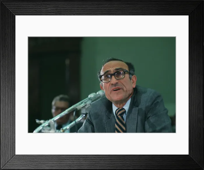 Framed Print : Alfred E Kahn Framed Print : Alfred E Kahn