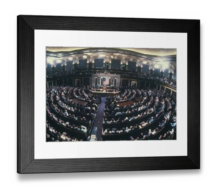 Framed Print : Congress In Session Framed Print : Congress In Session