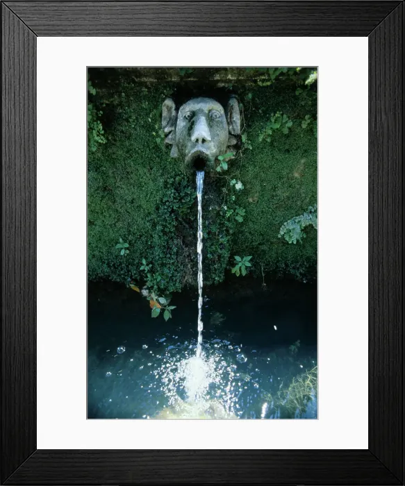 Framed Print : Fountain at Villa Este